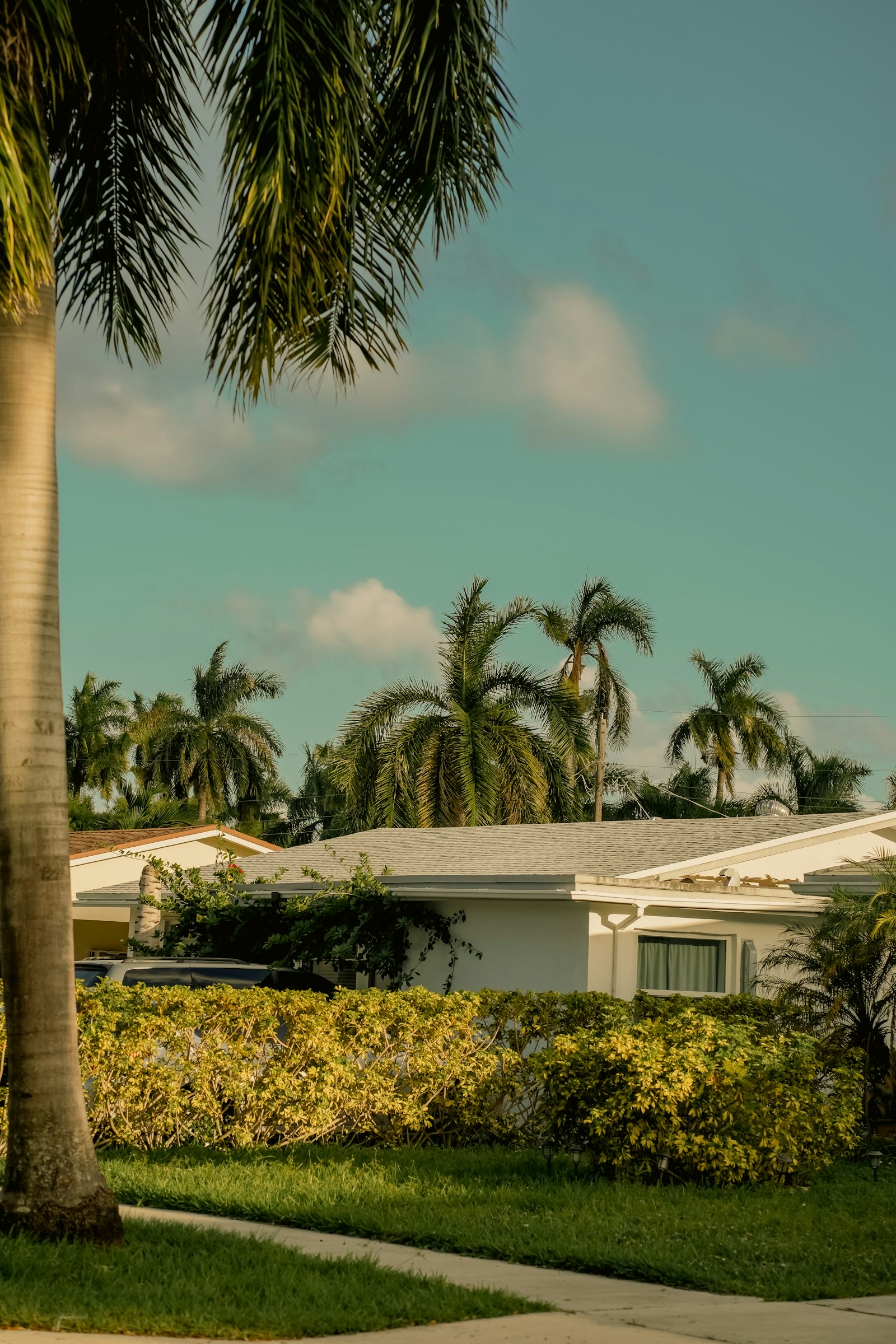 Investment & Rentals